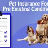 How to Get Pet Insurance with Pre-existing Conditions
