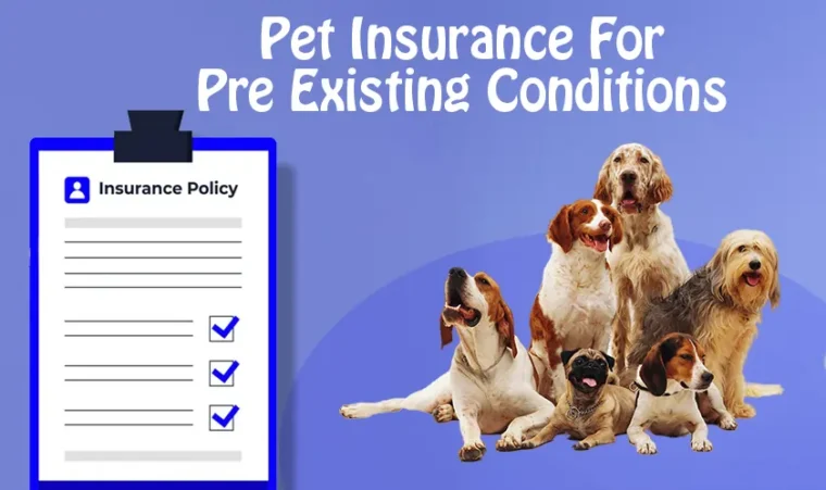 How to Get Pet Insurance with Pre-existing Conditions